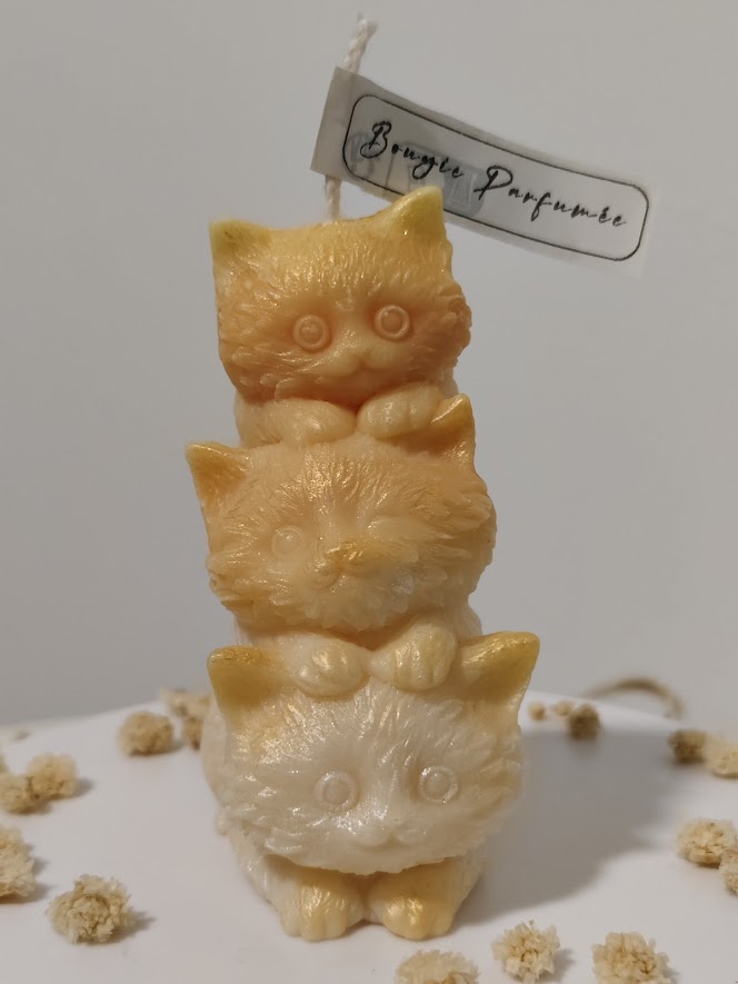 Cat candles surprise gifts for birthdays, decorations and special days